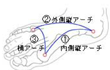 土踏まずと足のアーチ